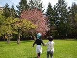 DSCN2574.JPG